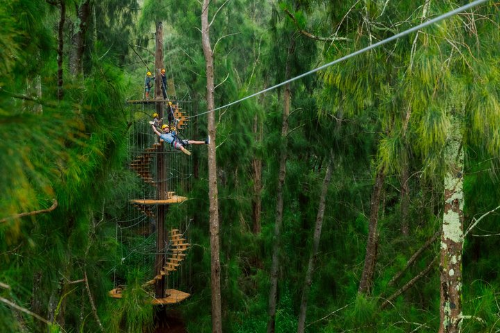 Big Island Kohala Zipline Adventure - Photo 1 of 18